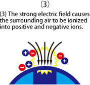 (3) The strong electric field causes the surrounding air to be ionized into positive and negative ions.